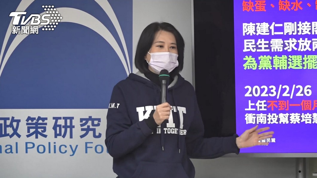 王鴻薇控半導體技術奉送立陶宛 綠委駁:是進軍歐盟入口