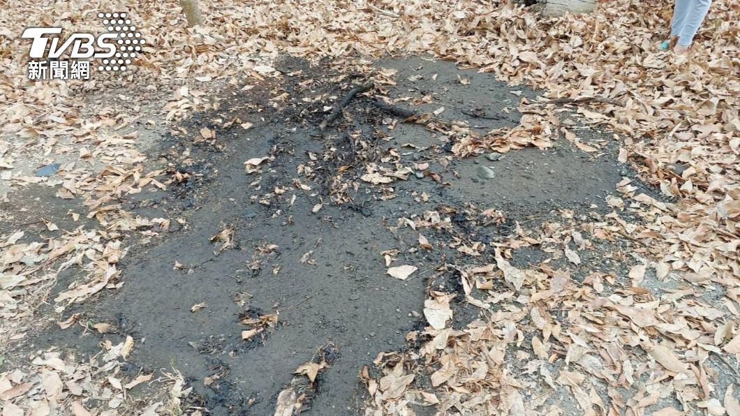 火勢在落葉堆裡燃燒。(圖/屏東林管處提供)
