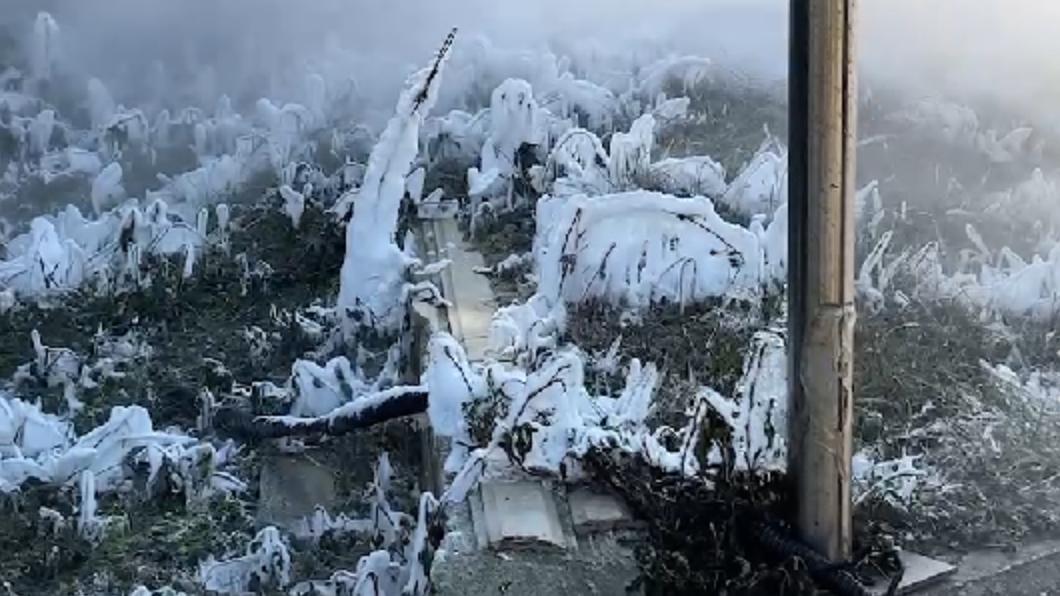 -196 °C!竹科「液態氮外洩」白茫茫一片 憂凍傷急封鎖