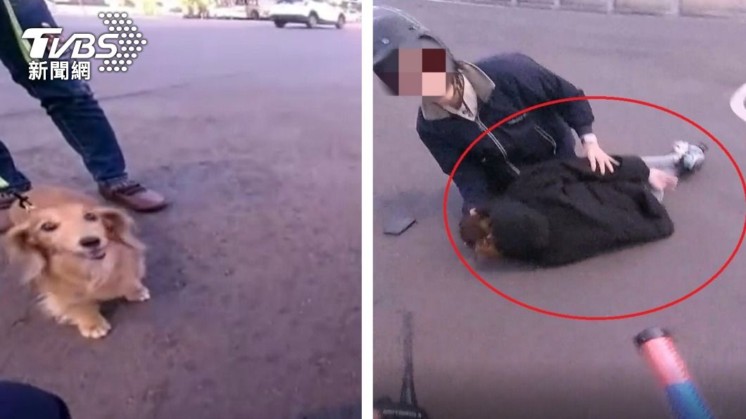 神犬!妙齡女癲癇發作倒路邊 臘腸狗狂吠引警手刀救援