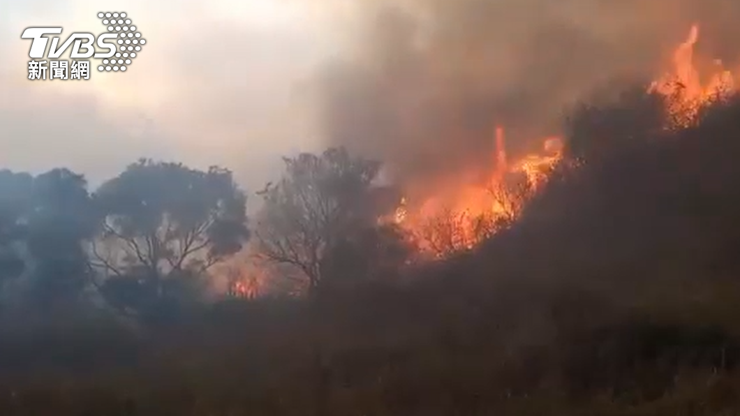 痛心!掃墓釀火燒山 民眾嘆:願梅花鹿灰燼中堅強活下來