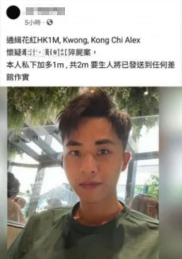 蔡天鳳前夫ALEX。（圖／翻攝網路）