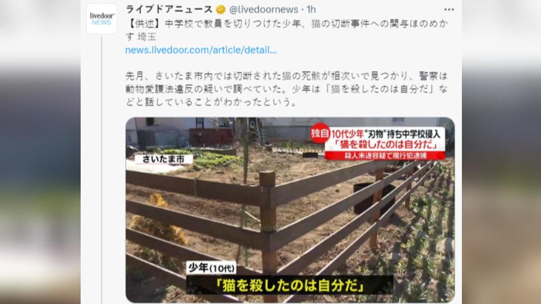 少年遭逮捕後,聲稱自己是殺貓案的犯人。(圖/翻攝自推特)