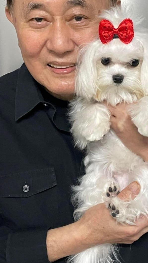 向雲鵬養張佩華送的小狗才1年多就撒手人寰。(圖/張佩華提供)