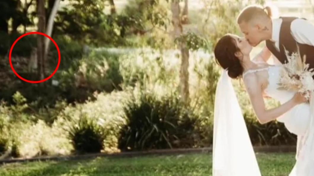 痛失1歲愛女!2寶媽悲辦婚禮 驚見純白身影淚崩:她回來了