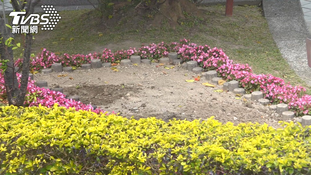 瓊瑤「花葬」謝幕!5種環保葬大不同 全台地點、收費一文看