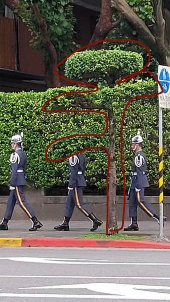 網友畫出示意圖,其實儀隊弟兄是在樹的後面,頭剛好被擋住。(圖/翻攝自路上觀察學院臉書)