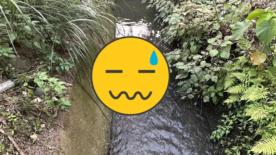 水溝有浮屍？他驚見「腫脹人腿」漂浮　3千人見真相傻眼