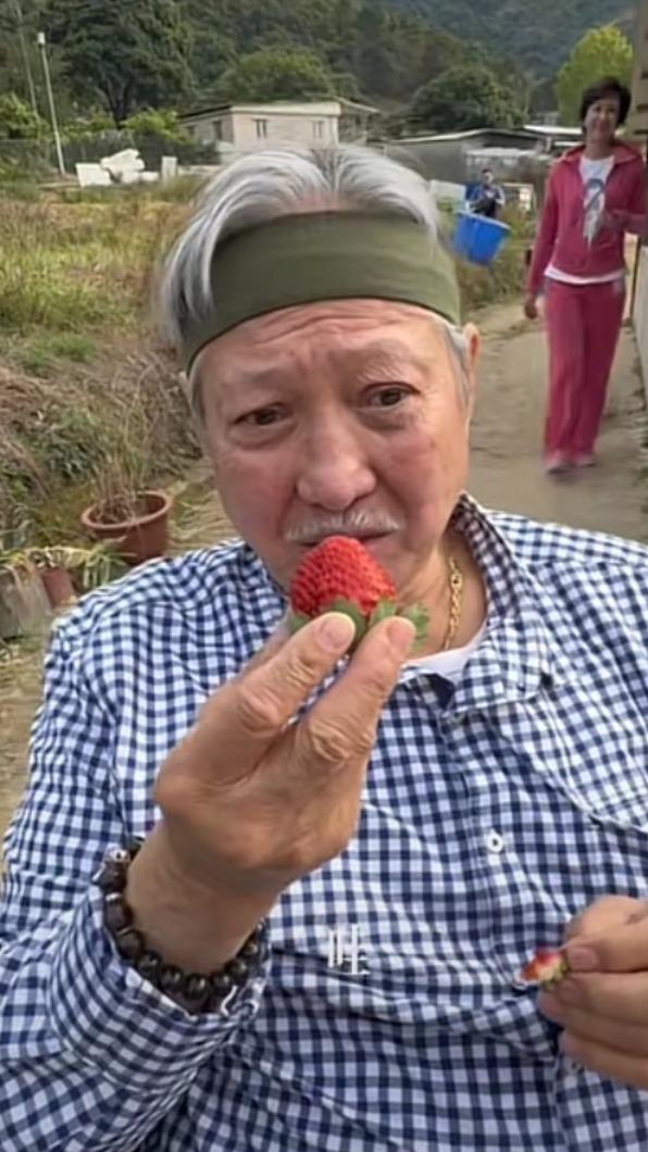 洪天明日前曝光洪金寶近況。（圖／翻攝自洪天明抖音）