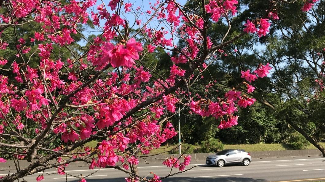 每年冬、春2季容易發生起霧影響駕駛人視線之情形。(圖/高公局提供)