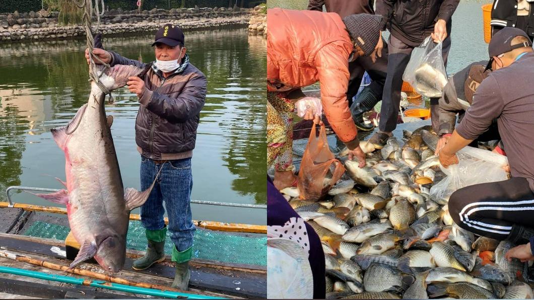 比小朋友高!公園撈出巨大怪魚 民眾驚:難怪魚蝦變少