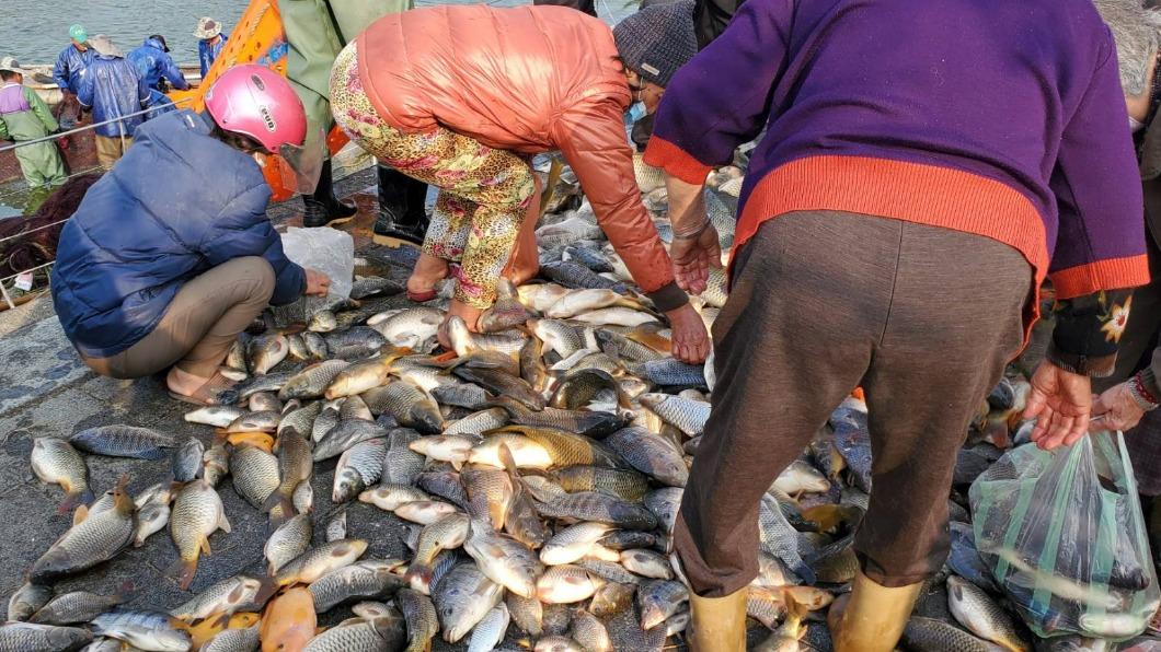 雜魚開放民眾認領。(圖/下營玄天上帝廟提供)