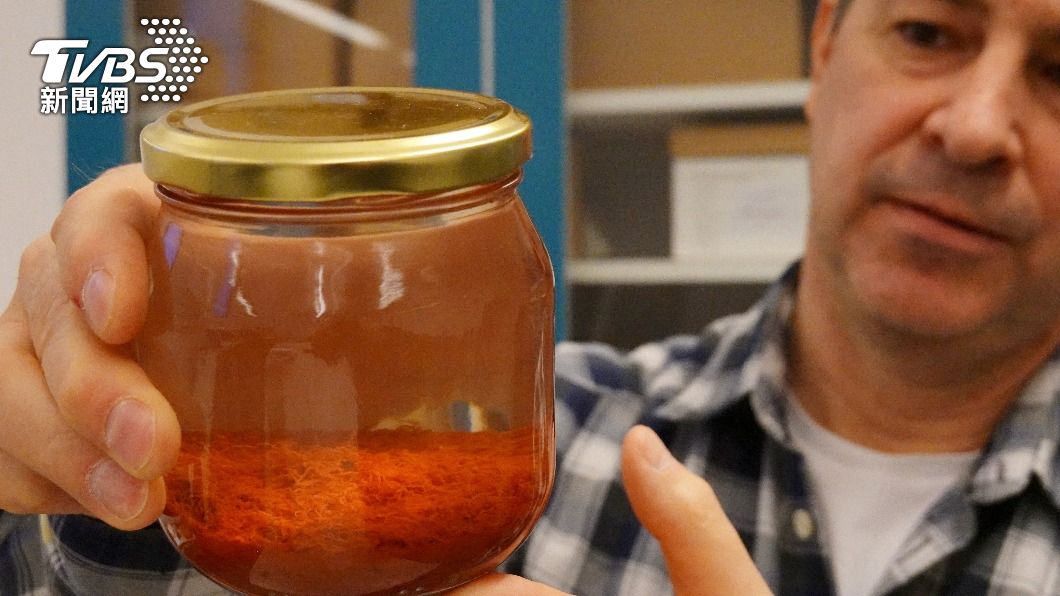 瑞典船隻沉沒逾5百年　考古學家：發現完好「食物庫」　