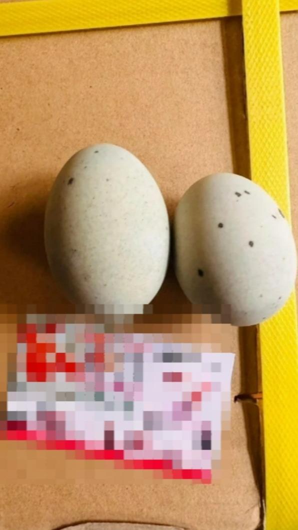 女網友指控老闆娘魚目混珠。（圖／翻攝自爆料公社公開版）