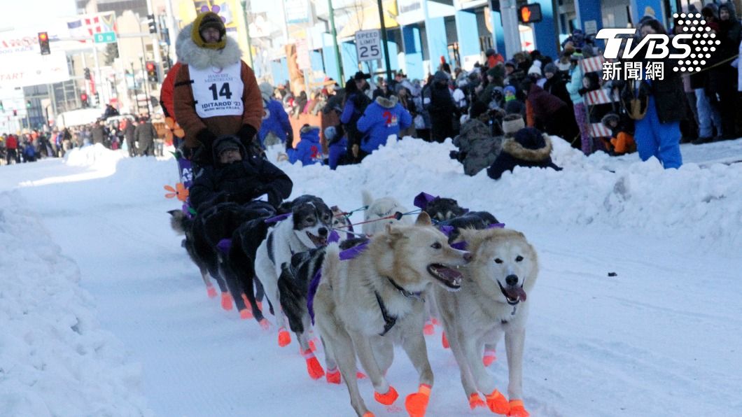 圖輯/橫跨逾1600公里路程 阿拉斯加雪橇犬大賽登場