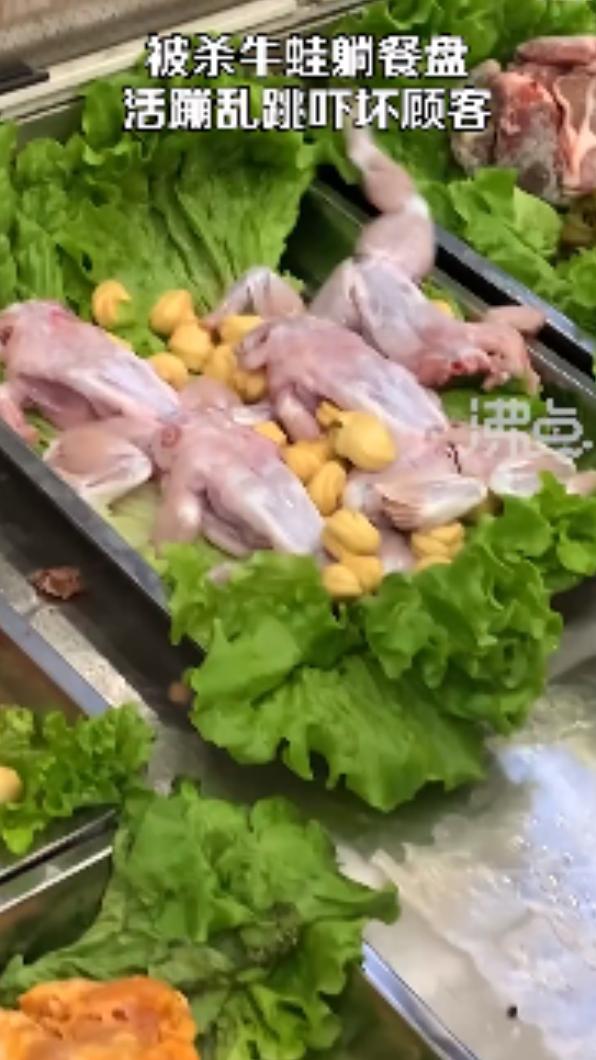 牛蛙在鐵盤裡瘋狂跳動,嚇壞顧客。(圖/翻攝自微博沸點視頻)