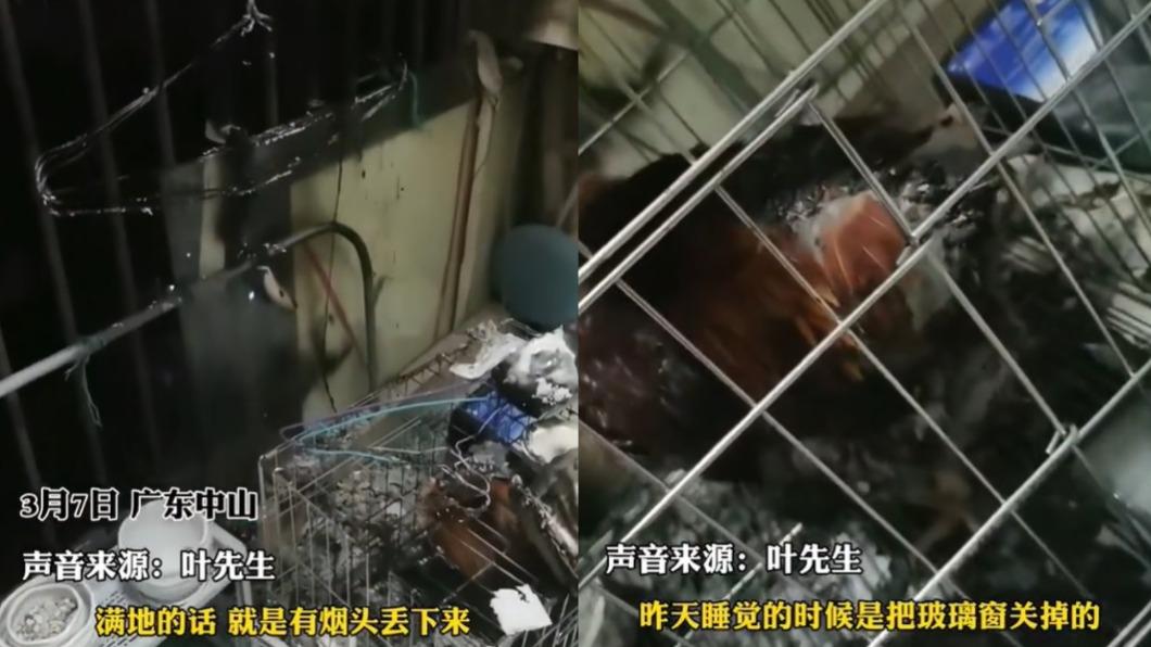 葉男推測應該是樓上住戶亂丟菸蒂釀禍。(圖/翻攝自《農民頻道》微博)