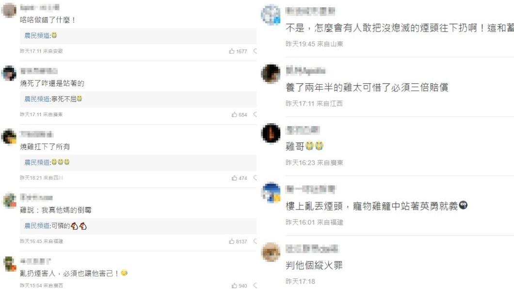 寵物雞殘忍的遭遇掀起網友熱議。(圖/翻攝自《農民頻道》微博)