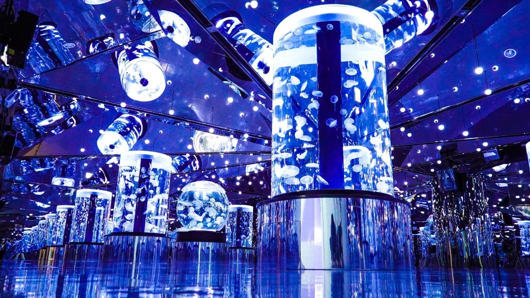 Xpark被譽為全台最美水族館。（圖／翻攝自Xpark臉書）