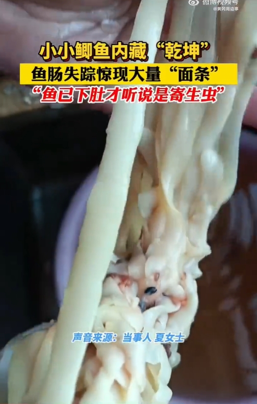 麵條相當Q彈。(圖/翻攝自微博)