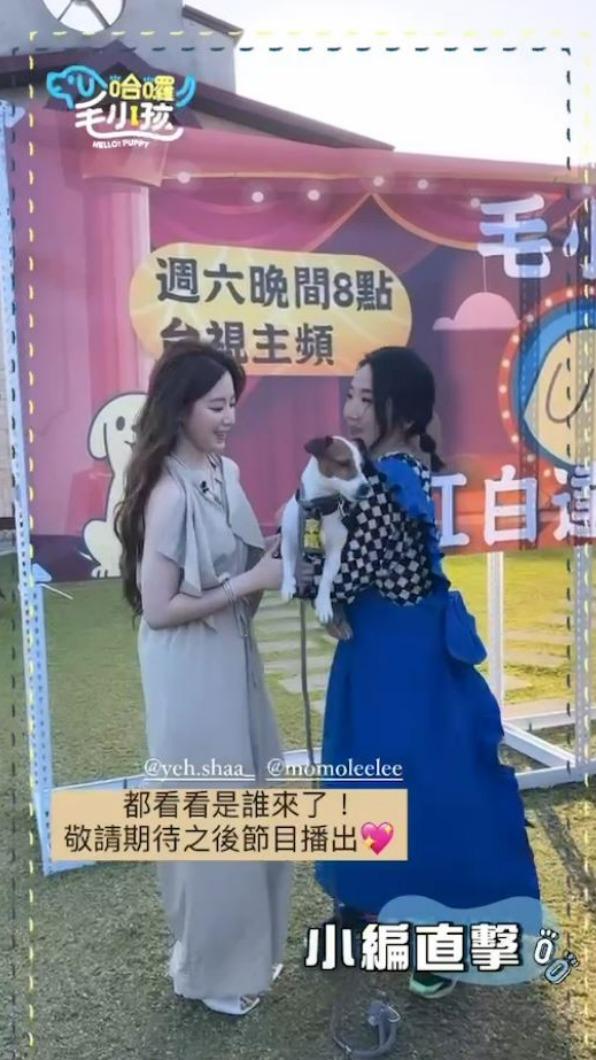 舒華(左)參與《哈囉!毛小孩》錄影。(圖/翻攝自《哈囉!毛小孩》IG)