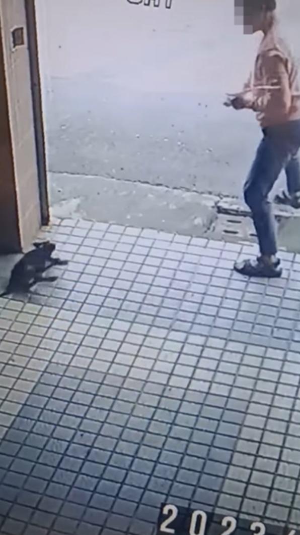 男子對小狗往死裡打。（圖／翻攝自台南大小事）