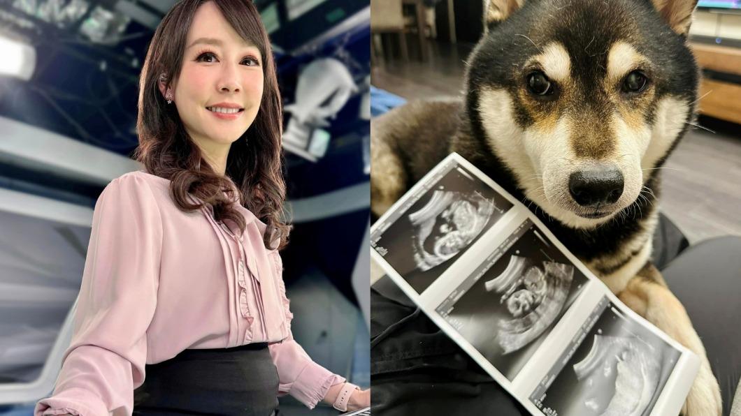 41歲美女主播吳宇舒宣布懷孕! 喜曬5月孕肚:不是吃太飽