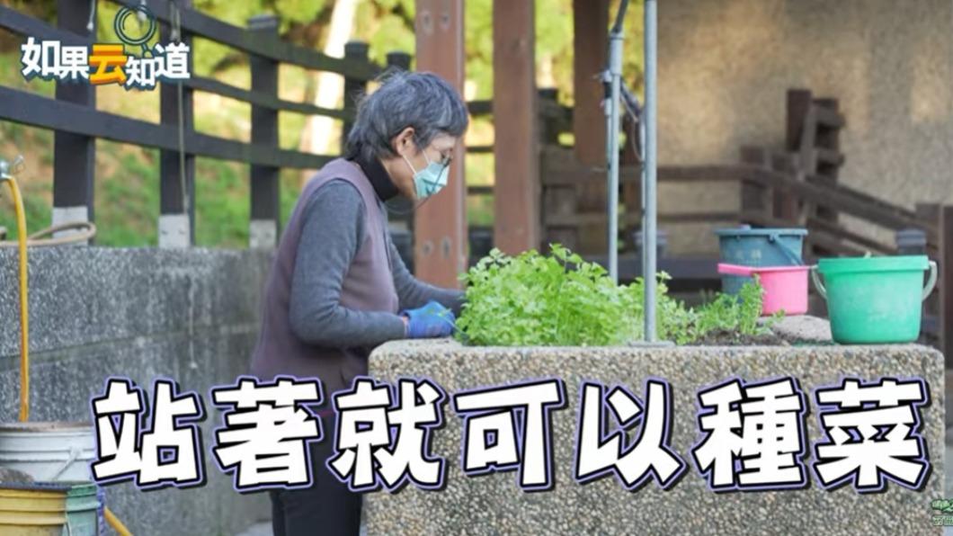 針對不適合彎腰及蹲下的長輩，還有「免彎腰種菜、種花檯」。（圖／翻攝自YouTube 如果云知道）