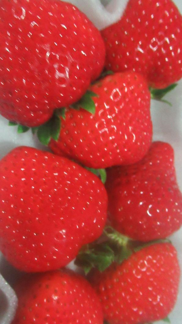 日本進口草莓農藥超標。(圖/食藥署提供)