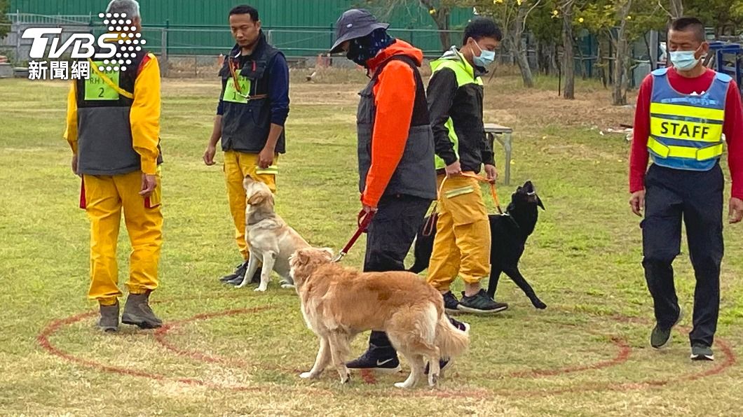 搜救犬「年度盛會」!通過這項國際考 才能加入救人行列