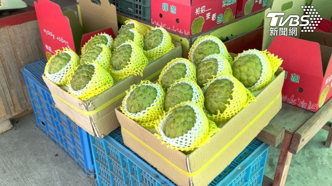 中國大陸海關總署宣布即起恢復台灣鳳梨釋迦進口。(圖/TVBS資料畫面)