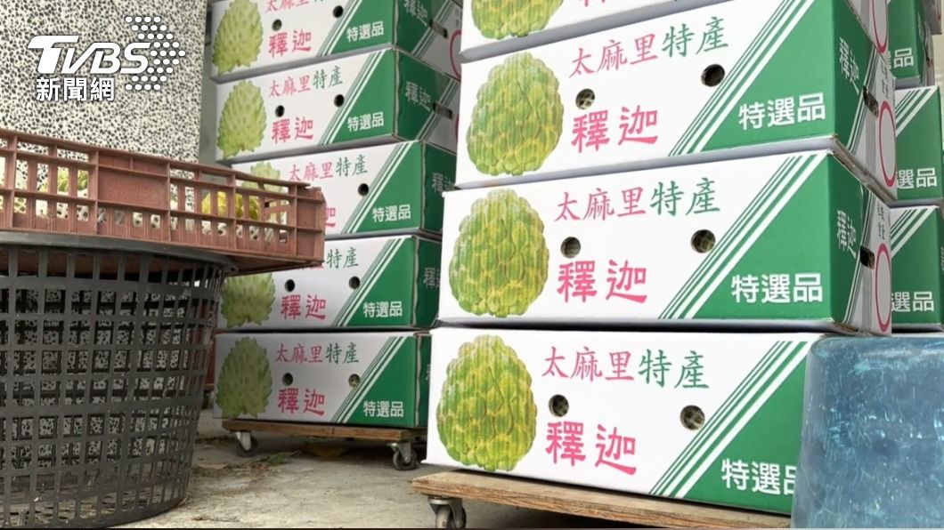 為了穩定國內鳳梨釋迦產地價格,外銷方面農委會積極拓展香港。(圖/TVBS)