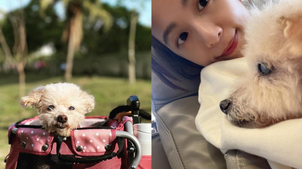 Hebe在社群分享愛犬狗狗離世的傷心事。（圖／翻攝自田馥甄臉書）
