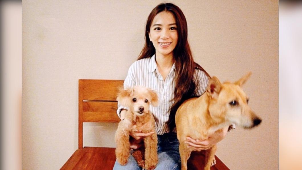 田馥甄的愛犬田蹦（右）和狗狗都成了天使，讓粉絲感傷不已。（圖／翻攝自田馥甄微博）