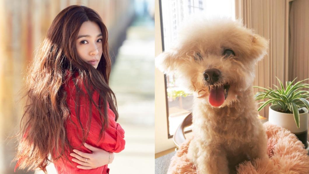 田馥甄和家人一起送別愛犬，更分享多張狗狗的照。（圖／翻攝自田馥甄臉書）