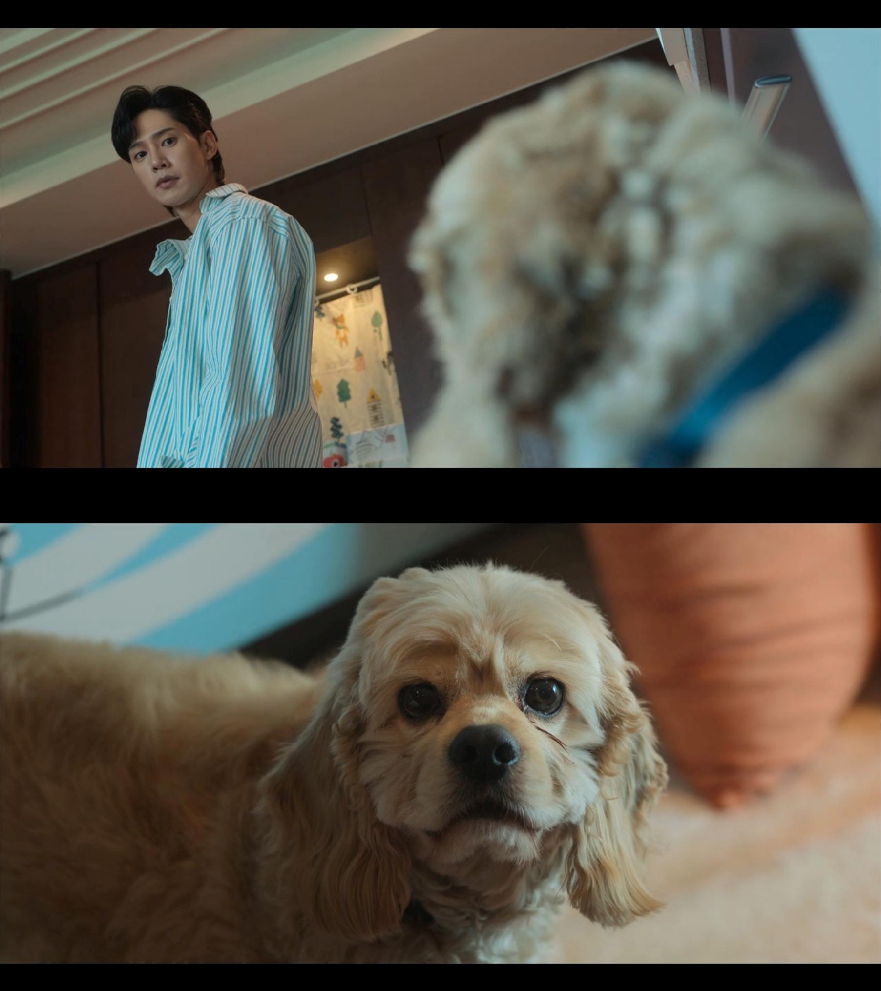 沒想到全宰寯竟饒路易一命。(圖/翻攝自Netflix)