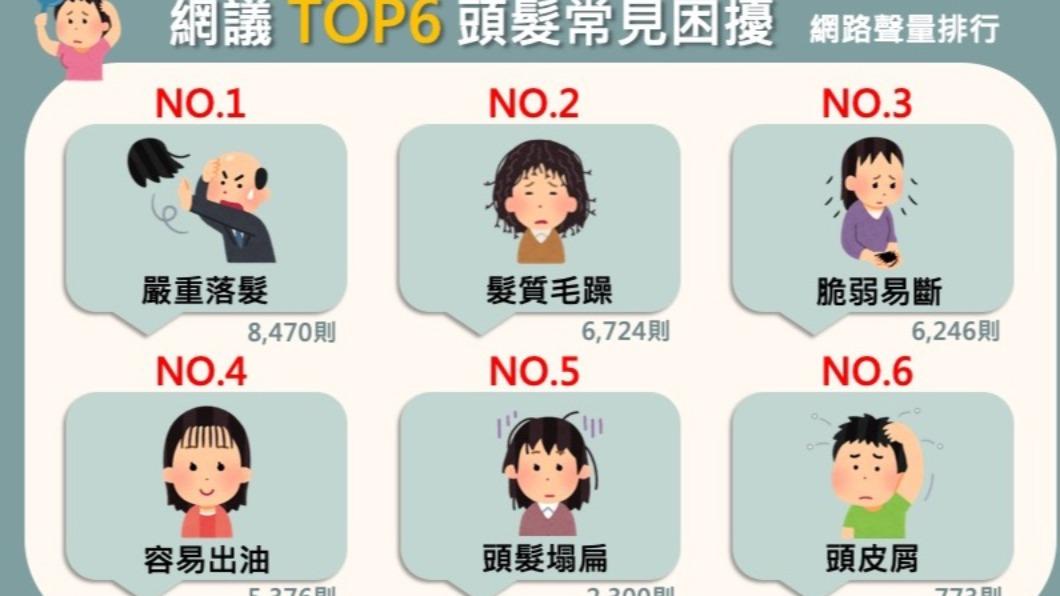 網友熱議TOP6頭髮常見困擾。（圖／社群實驗室）