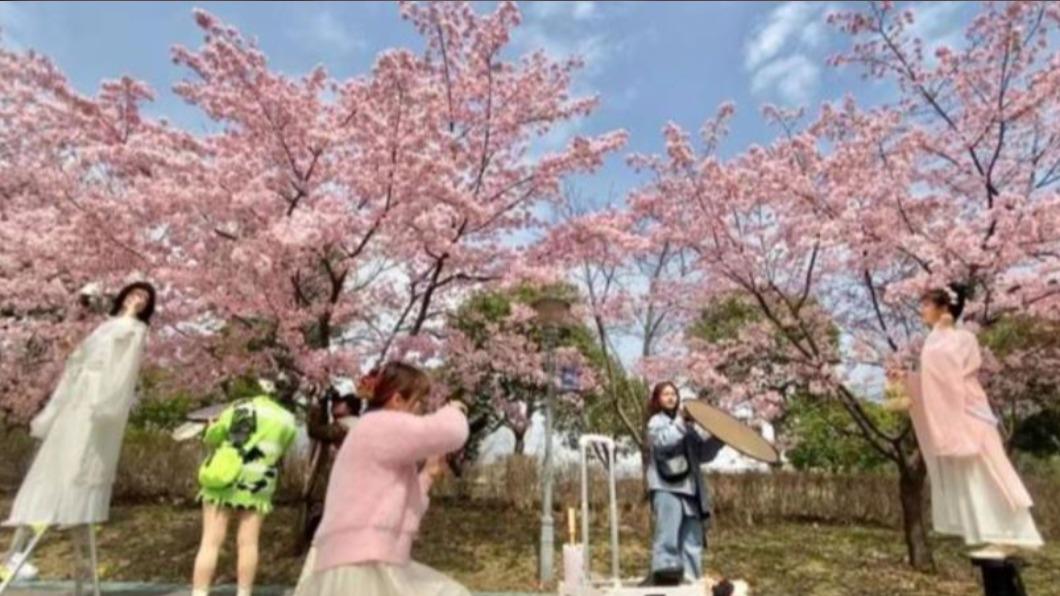 圖/翻攝自上海熱線