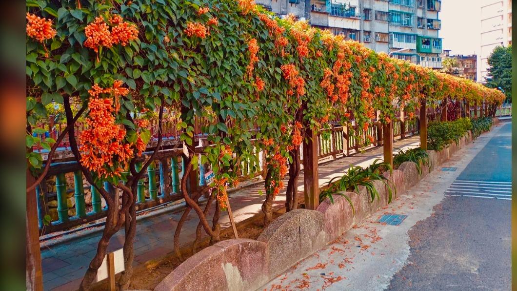 圖/新北景觀處提供