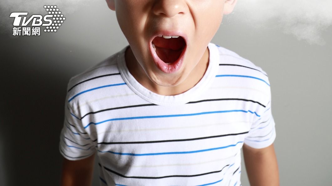 男童得不到竟對父母大吼、頂嘴。(示意圖/shutterstock達志影像)