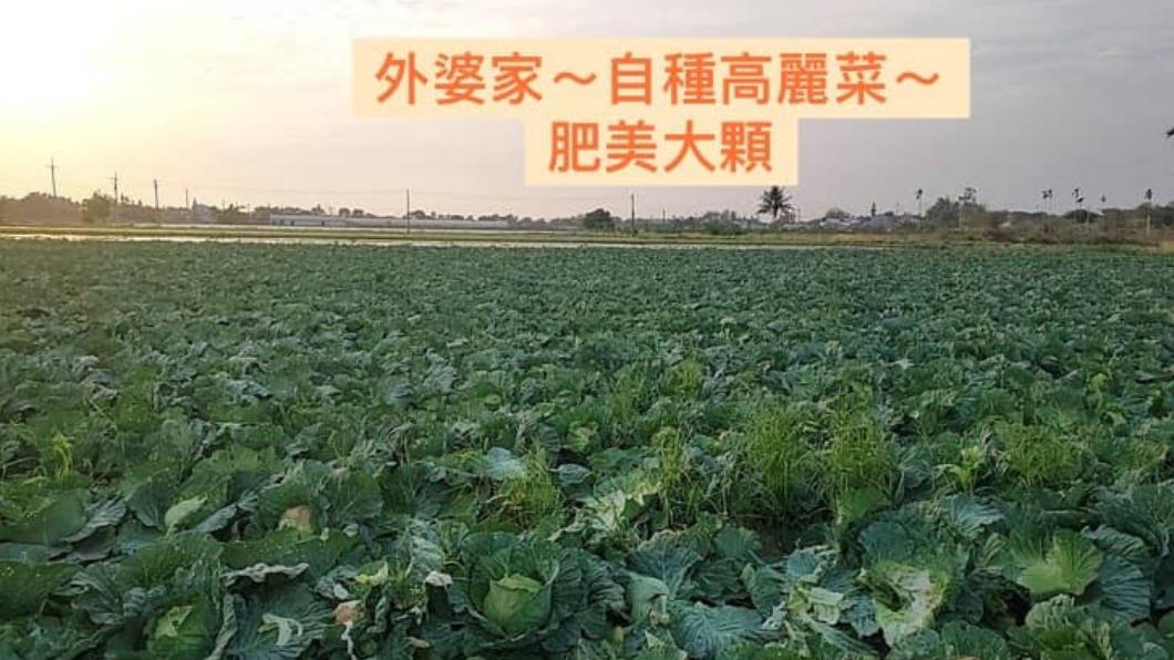 外孫女在臉書發文自救。（圖／翻攝自李羿慧臉書）