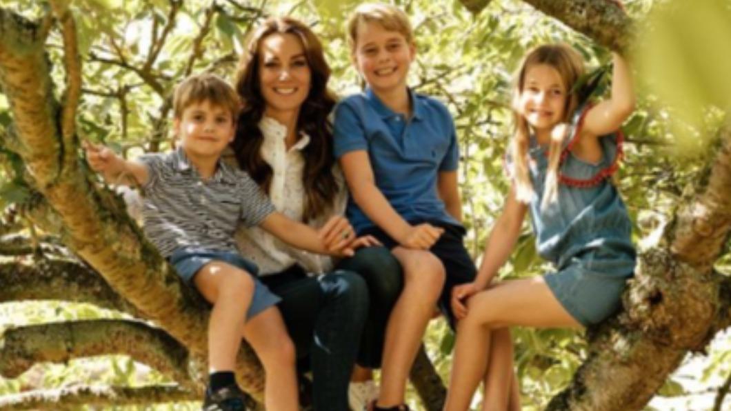 凱特分享和3名子女一起坐在樹上的照片。(圖/翻攝自The Prince and Princess of Wales Instagram @princeandprincessofwales)