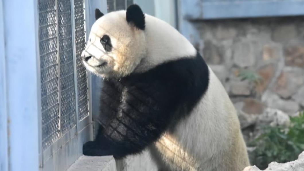 圖/翻攝自微博