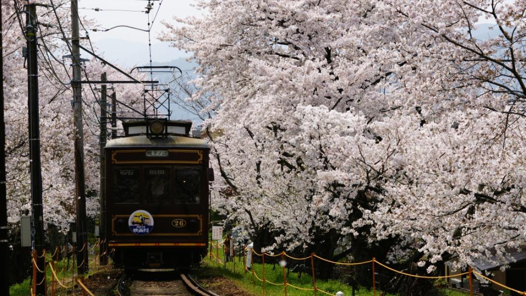 春遊京都看過來 四月起金閣寺門票.部分電車車費微調
