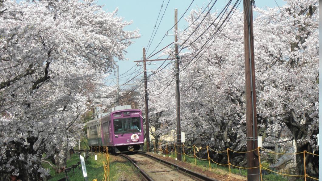 之前疫情加上物價波動,京都部分電車車費調帳,金閣寺門票也微調。(圖 / 京都市台灣推廣事務所 提供)