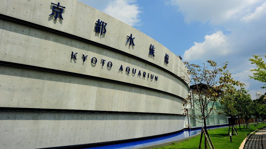知名的京都水族館,為維持運作,門票調漲。(圖 / 京都市台灣推廣事務所 提供)