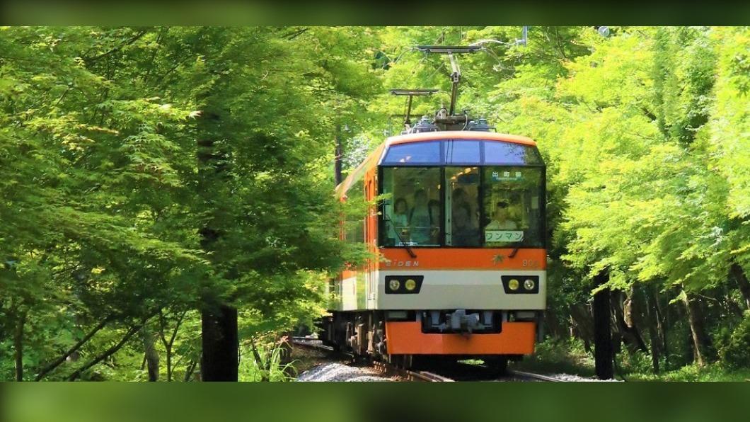 春遊京都正夯。(圖 / 京都市台灣推廣事務所 提供)