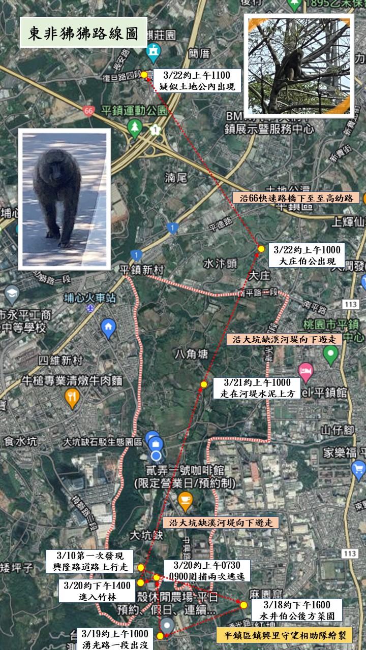 東非狒狒路線圖。(圖/取自黃志杰臉書)