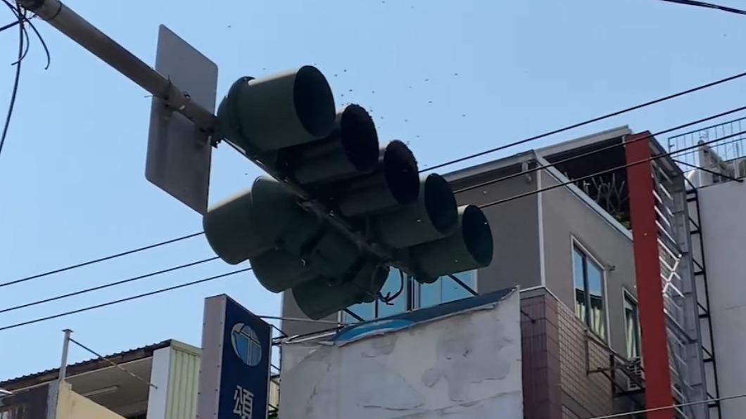 紅綠燈蓋上都是蜜蜂。(圖/民眾提供)