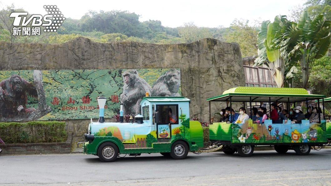 暑假嗨玩壽山動物園! 高市:全國12歲以下免費入園